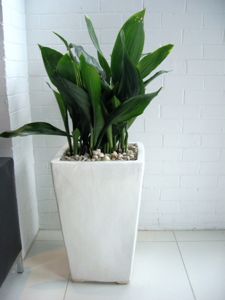 Floor Standing Planters floor standing planters perfection plant hire Floor Standing Planters floor standing planters perfection plant hire