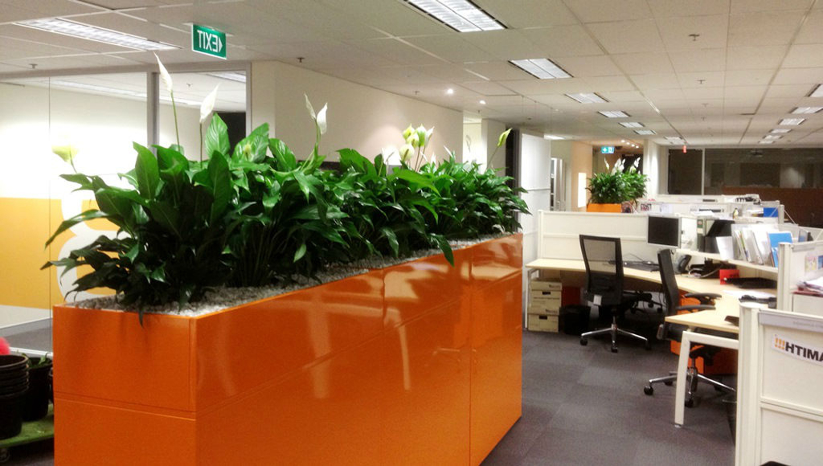 Perfection Plant Hire We love supplying amazing plants, stylish